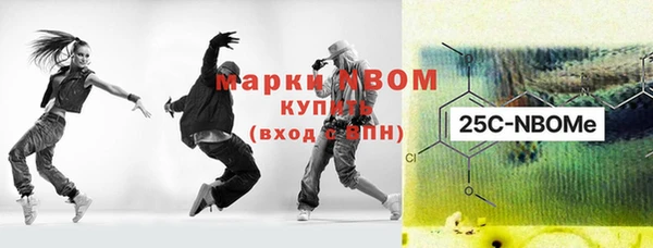 шишки Арсеньев