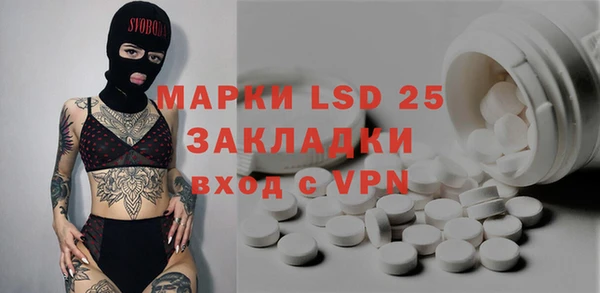 шишки Арсеньев