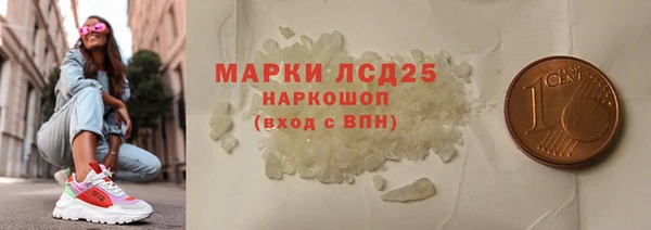 шишки Арсеньев