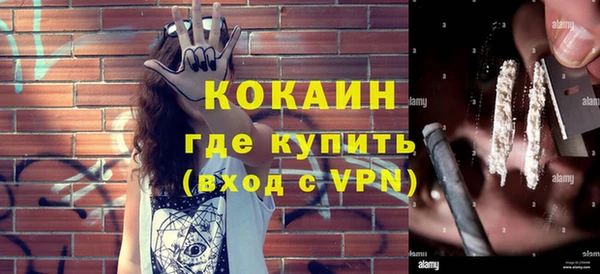 шишки Арсеньев