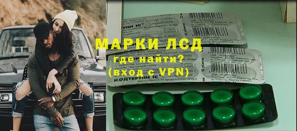 шишки Арсеньев
