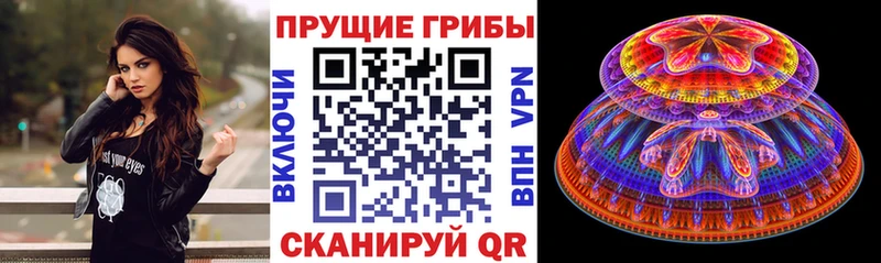 Галлюциногенные грибы Psilocybine cubensis цены наркотик Обоянь